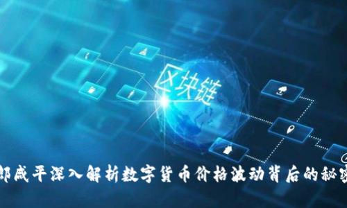 郎咸平深入解析数字货币价格波动背后的秘密