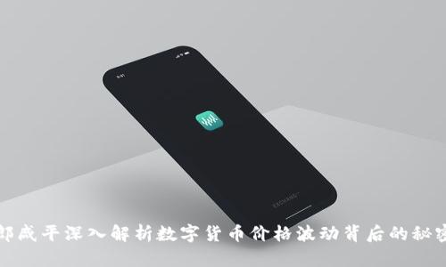 郎咸平深入解析数字货币价格波动背后的秘密