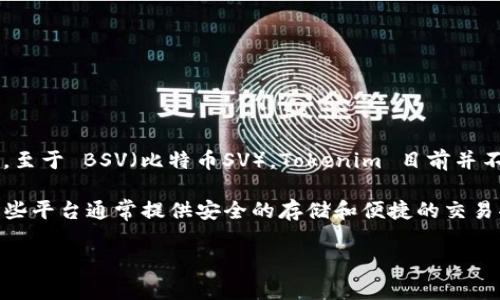 Tokenim 是一个基于区块链的创意平台，主要用于数字资产和新型代币的创建与管理。至于 BSV（比特币SV），Tokenim 目前并不直接支持此类资产的存储和管理。通常，Tokenim 集中于以太坊及其兼容链上的代币。

如果您想在区块链平台上存储 BSV，建议选择专门支持 BSV 的数字钱包或交易所。这些平台通常提供安全的存储和便捷的交易功能。

如需更多有关区块链资产的存储或其他相关问题，请告诉我！