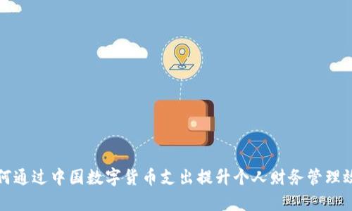 如何通过中国数字货币支出提升个人财务管理效率