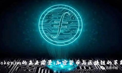 探索Tokenim的未来前景:加密货币与区块链的革新之旅