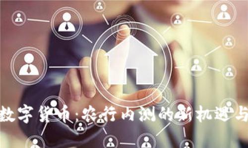 探索央行数字货币:农行内测的新机遇与实用成果