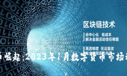 数字货币崛起:2023年1月数字货币市场动态分析