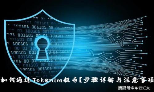 如何通过Tokenim提币?步骤详解与注意事项