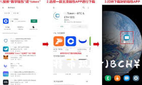 以太坊钱包如何支持比特币现金(BCH)交易:全面指南