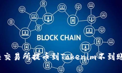 如何解决交易所提币到Tokenim不到账的问题?
