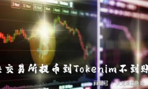 如何解决交易所提币到Tokenim不到账的问题?