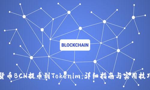 货币BCH提币到Tokenim:详细指南与实用技巧
