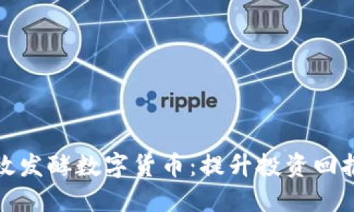 如何高效发酵数字货币:提升投资回报的秘诀
