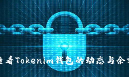 如何查看Tokenim钱包的动态与余额更新
