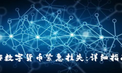 如何快速操作数字货币紧急挂失：详细指南与实用建议