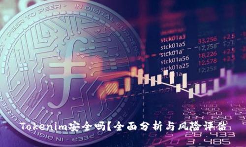 Tokenim安全吗？全面分析与风险评估