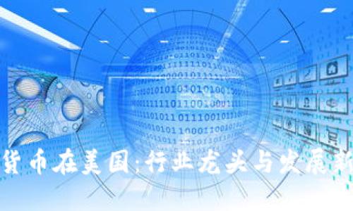 数字货币在美国：行业龙头与发展新方向