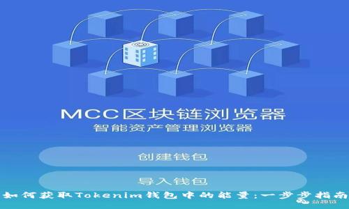 如何获取Tokenim钱包中的能量：一步步指南