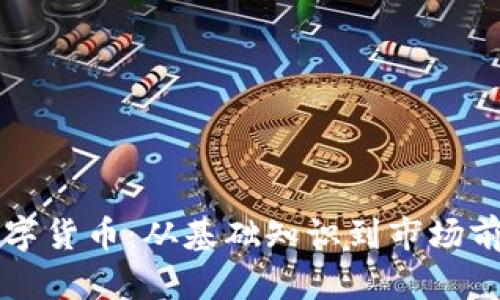 国内使用的数字货币:从基础知识到市场前景的全面解析