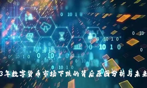 2023年数字货币市场下跌的背后原因分析与未来展望