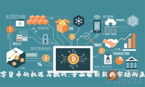 数字货币的机遇与挑战：全面解析新兴市场的未来