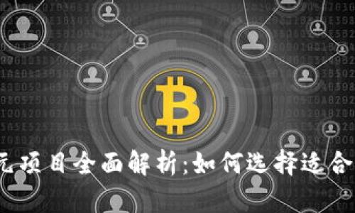  数字货币美元项目全面解析：如何选择适合你的投资机会
