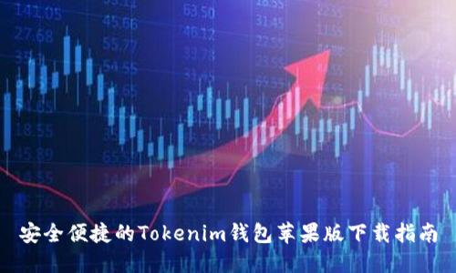 安全便捷的Tokenim钱包苹果版下载指南