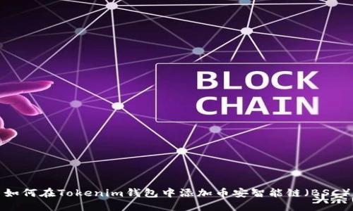 如何在Tokenim钱包中添加币安智能链（BSC）