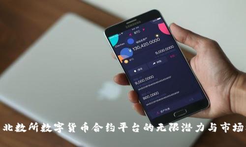 探索北数所数字货币合约平台的无限潜力与市场机遇