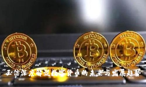 王信深度解说数字货币的未来与发展趋势