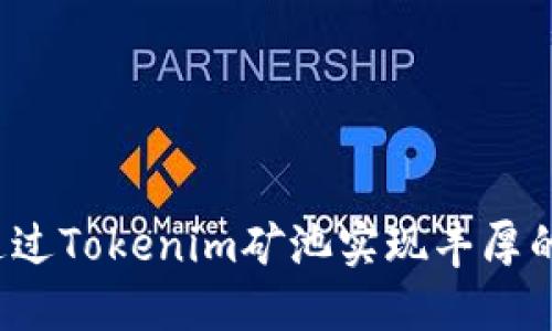 如何通过Tokenim矿池实现丰厚的收益？