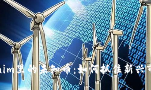 揭秘Tokenim里的未知币：如何抓住新兴市场的机遇