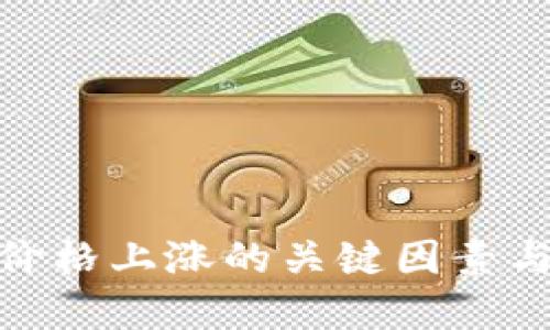 数字货币价格上涨的关键因素与投资策略
