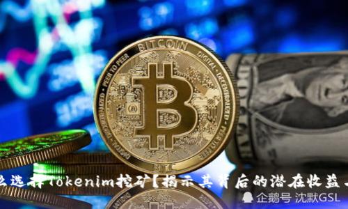 为什么选择Tokenim挖矿？揭示其背后的潜在收益与优势