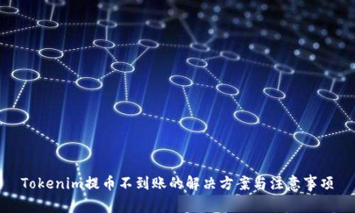 Tokenim提币不到账的解决方案与注意事项