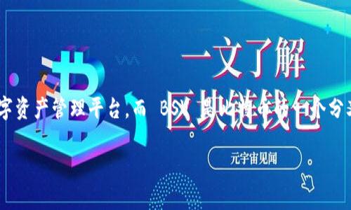 为了确保我们在这个问题上提供详细且有价值的内容，首先我们要明确“tokenim”和“BSV”的定义。Tokenim 是一个数字资产管理平台，而 BSV 是比特币的一个分叉，代表比特币史诗版（Bitcoin SV）。在这个背景下，我们可以围绕如何在 Tokenim 上存储 BSV 创建一个完整的指南。

如何在 Tokenim 上安全存储 BSV：详细指南