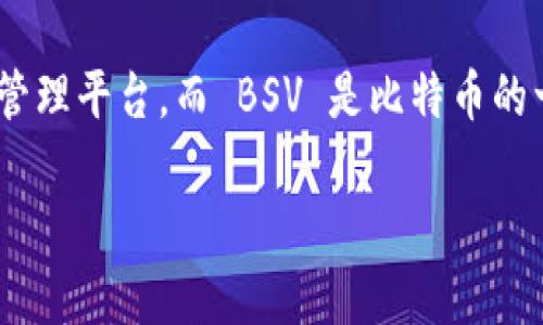 为了确保我们在这个问题上提供详细且有价值的内容，首先我们要明确“tokenim”和“BSV”的定义。Tokenim 是一个数字资产管理平台，而 BSV 是比特币的一个分叉，代表比特币史诗版（Bitcoin SV）。在这个背景下，我们可以围绕如何在 Tokenim 上存储 BSV 创建一个完整的指南。

如何在 Tokenim 上安全存储 BSV：详细指南