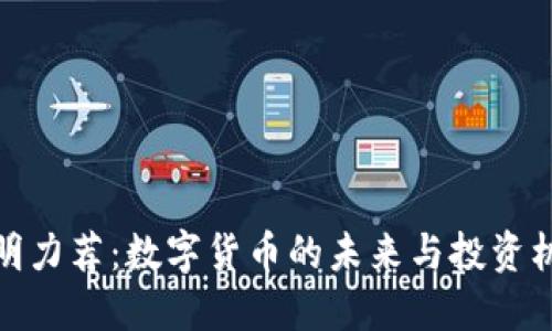 黎明力荐：数字货币的未来与投资机会