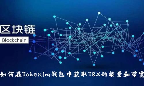 如何在Tokenim钱包中获取TRX的能量和带宽