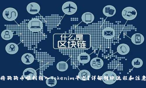 如何将狗狗币顺利转入Tokenim平台？详解转账流程和注意事项