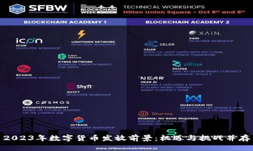 2023年数字货币发放前景：机遇与挑战并存