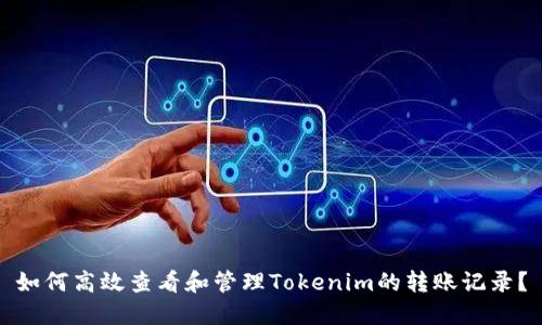如何高效查看和管理Tokenim的转账记录？