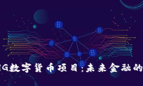 探索SHG数字货币项目：未来金融的新选择